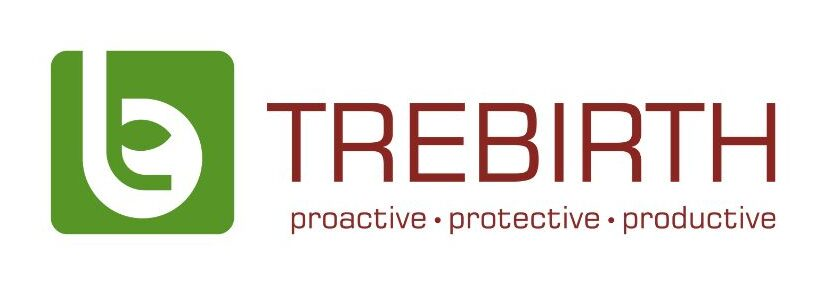 Trebirth Logo
